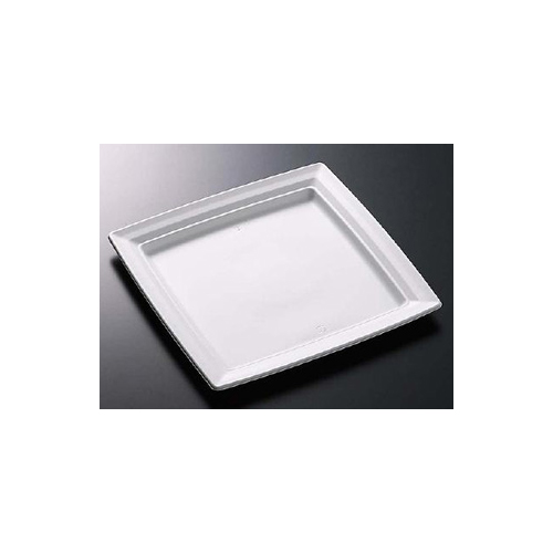 中央化学 軽食容器 CT 沙楽 K30-30 W 本体画像