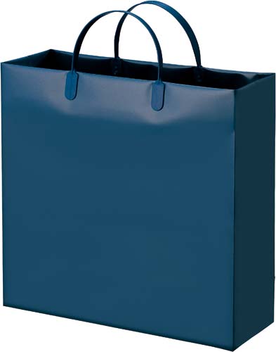 発泡ポリエチレンバッグ　Ｍ　コン　１０枚画像