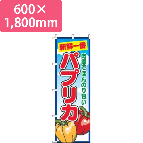 パプリカ青空丸画像