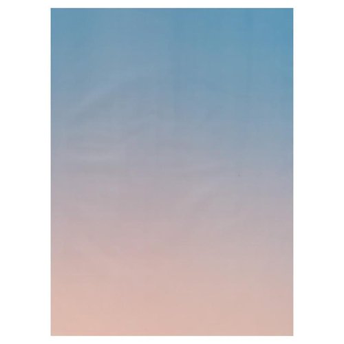 包装紙 BWP-DL6 ブーケラッピング耐水ペーパーL-6(20枚) ヘッズ画像