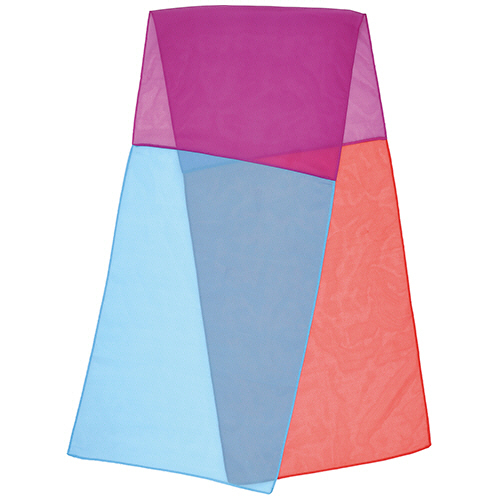 ｶﾗﾌﾙｻｰｼﾞ 1枚画像