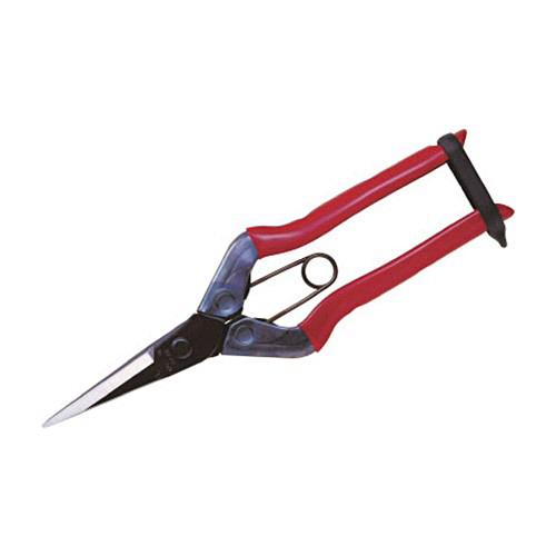 ﾁｶﾏｻ 芽切鋏 1個画像