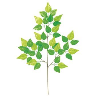 若葉さわやかスプレー画像