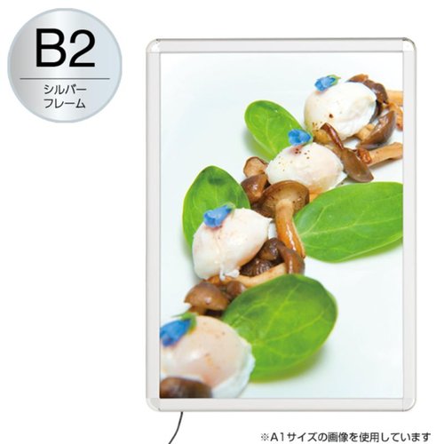 売場備品 MGライトパネルカスタム 屋内外 B2 シルバー 友屋画像