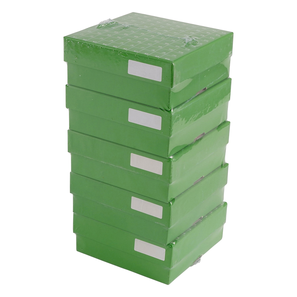 ヒンジ開閉フリーザーボックス（10×10）　緑　5個入画像