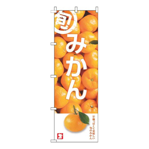 みかん旬写真画像