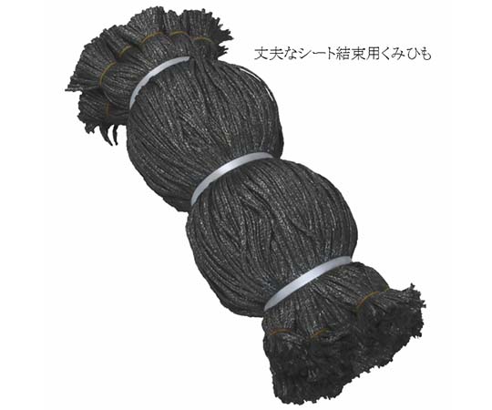 シート紐 グレー 60センチ 1000本入画像