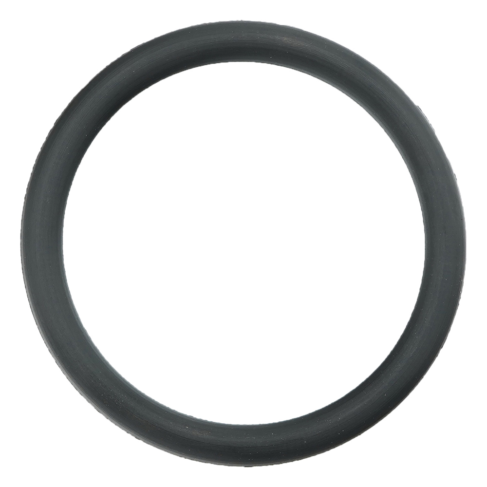 フッ素ゴムOリング（フロロプラス（TM））画像