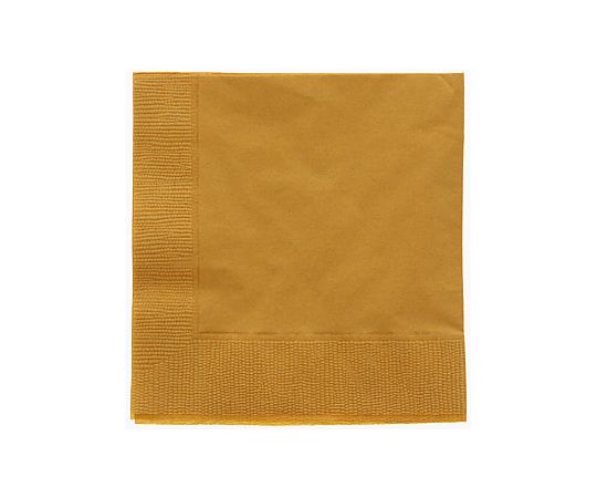 カラー2PLYナプキン オレンジ 約25cm 50枚画像