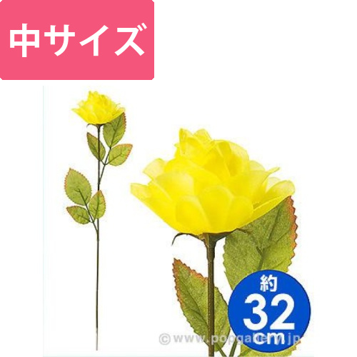 バラ（中）画像