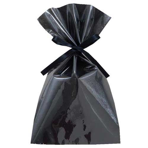 ソフトバッグクリア 2穴リボン巾着 S4 黒画像