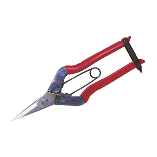 ﾁｶﾏｻ ｽﾃﾝﾚｽ摘果鋏 1個画像