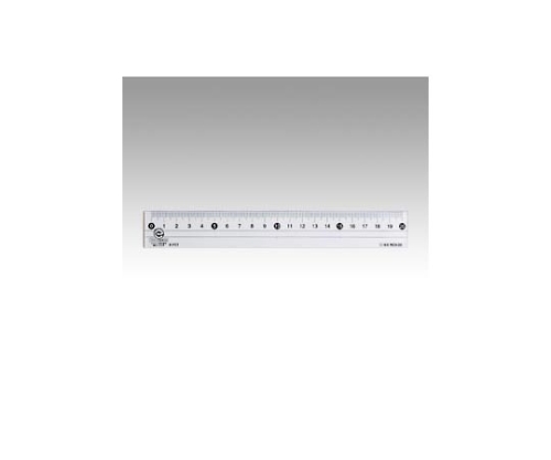 再生ペット定規 20cm画像