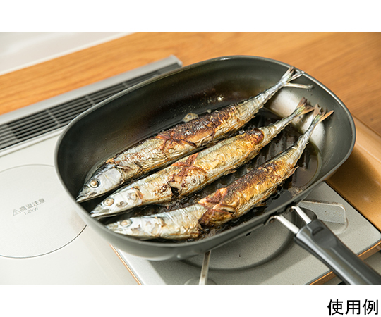 鉄製ステーキパン 持ち手部分がしっかりと映る上面からのアングル