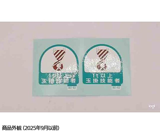 ヘルメット用ステッカー 玉掛技能者1t以上 1シート（2枚入） シートに印刷されたステッカーが平らに置かれている様子