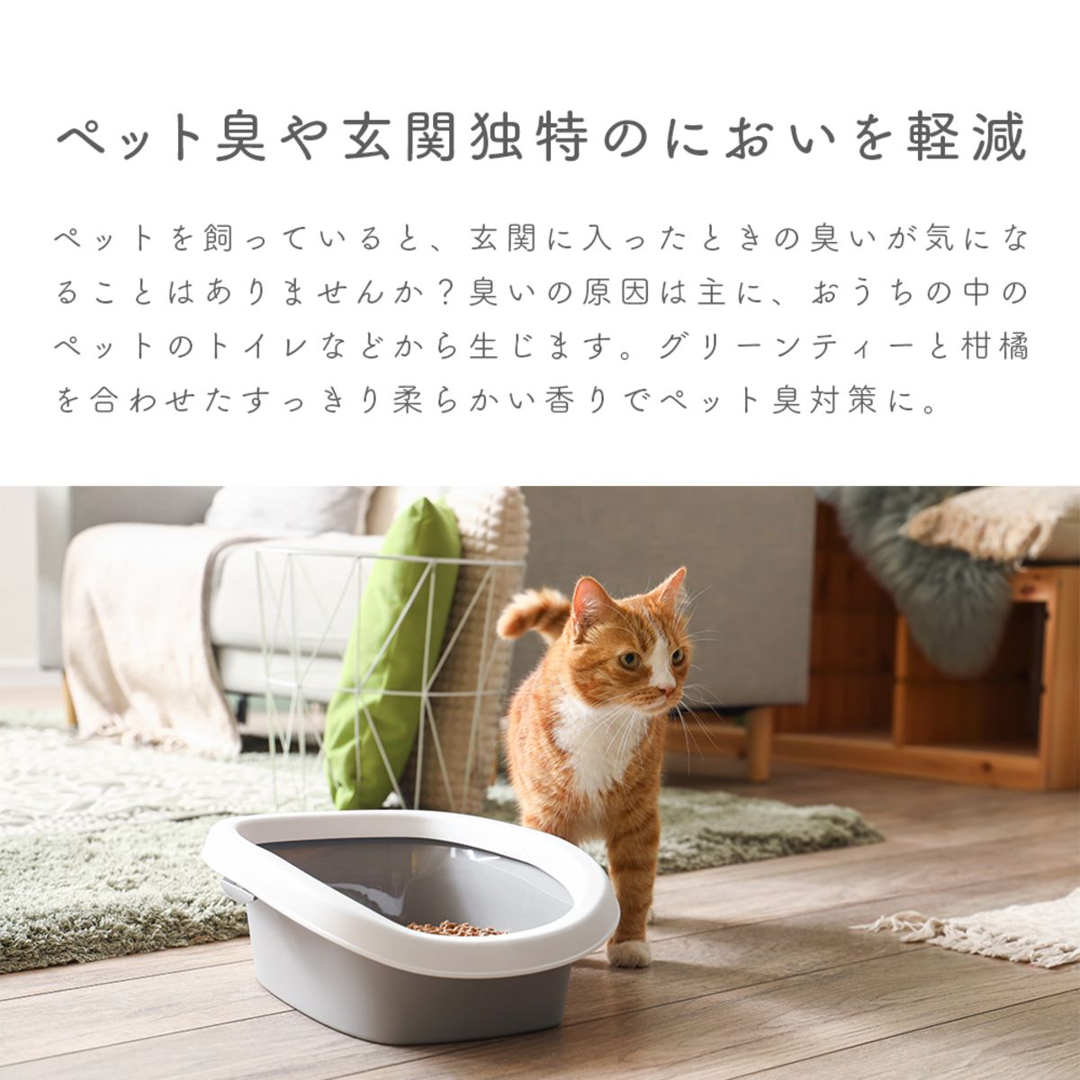 消臭剤　ペット臭に効く消臭フレグランス 透明なボトルに入った消臭スプレーが横向きで置かれ、ラベルには鮮やかなデザインが施されている。