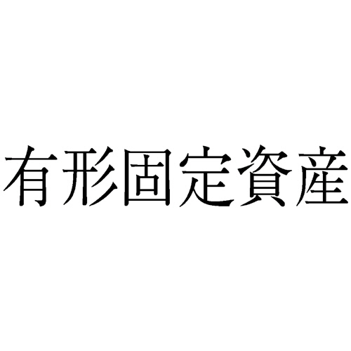 勘定科目印 65 有形固定資産 1個画像