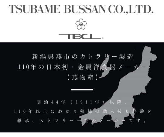 #2011 ヒメフォーク 1本 18-8ステンレスカトラリー 日本製 光沢のあるステンレスのフォークが正面から見える状態