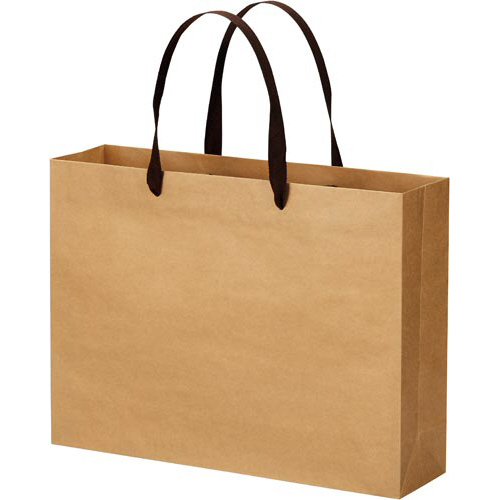 クラフトバッグ　平紐　Ｌ　１０枚画像