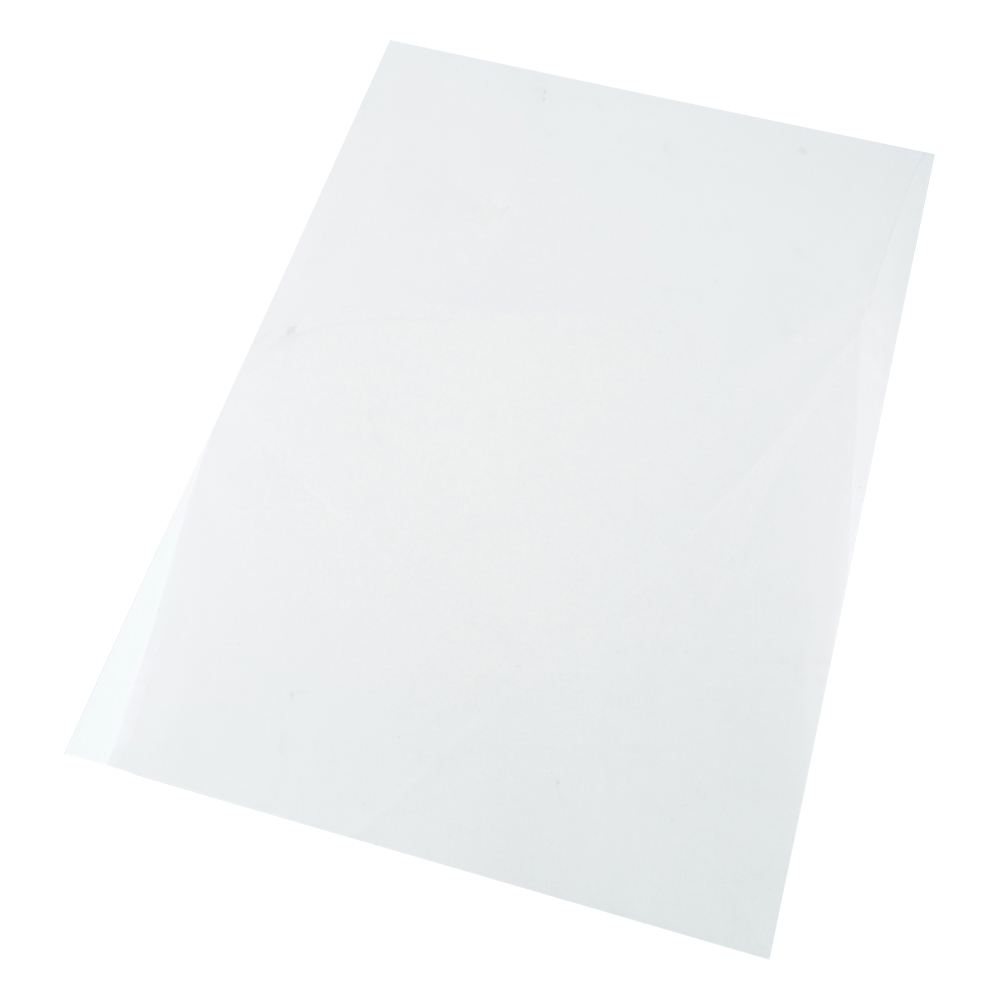 ポリエチレンナフタレートフィルム （テオネックス（R）） 210mm×297mm×188μm 1袋（10枚入）画像