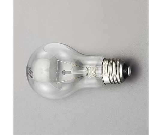 100V/ 60W/E26 白熱電球(ｸﾘｱ)画像