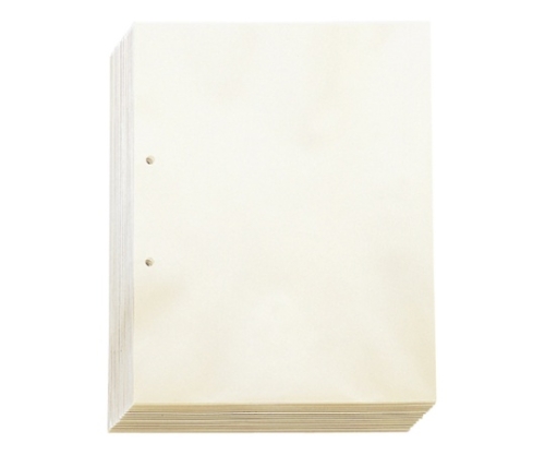 透明ポケット A4タテ型 1パック（100枚入）画像