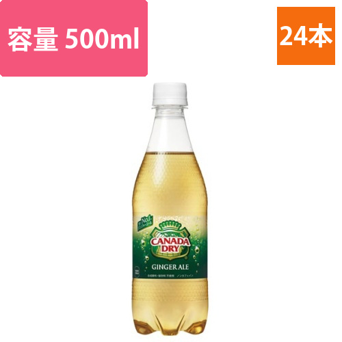 カナダドライ　ジンジャーエール　500ml　24本画像