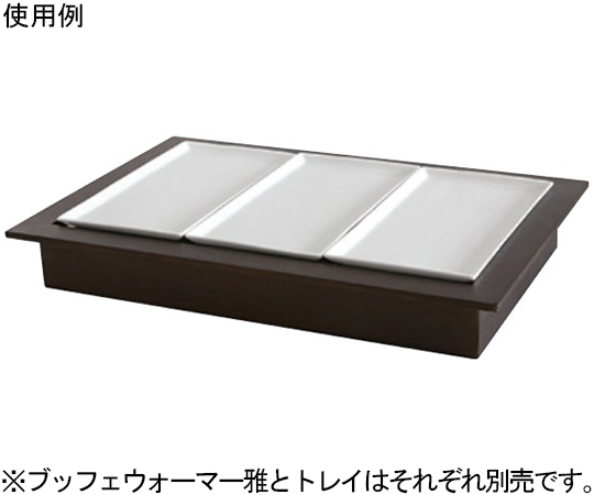 GN サイズトレイ 1/3 シンプルなデザインのトレイが平置きされた様子