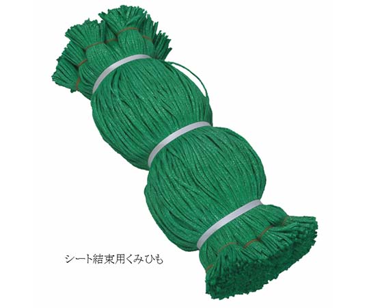 シート紐 緑 60センチ 1000本入画像