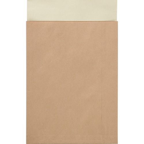 ﾎﾟｽﾄｲﾝ定形外封筒 100g/m2 未晒ｸﾗﾌﾄ 1ｹｰｽ(100枚)画像