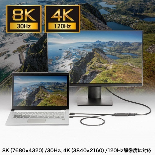 HDMI-DisplayPort変換アダプタ(8K/30Hz)　1個 クリアなプラスチックケースに収められた製品の表側が見える状態