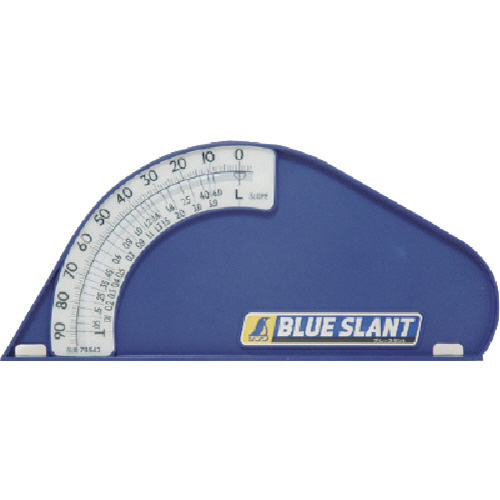 ﾌﾞﾙｰｽﾗﾝﾄ 1個画像