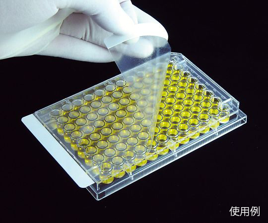 ELISA用シールプレートフィルム　SealPlate　100枚入画像