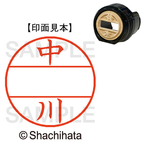 ﾃﾞｰﾀｰﾈｰﾑEX12号 ﾏｽﾀｰ部(印面) 既製 中川 1個画像