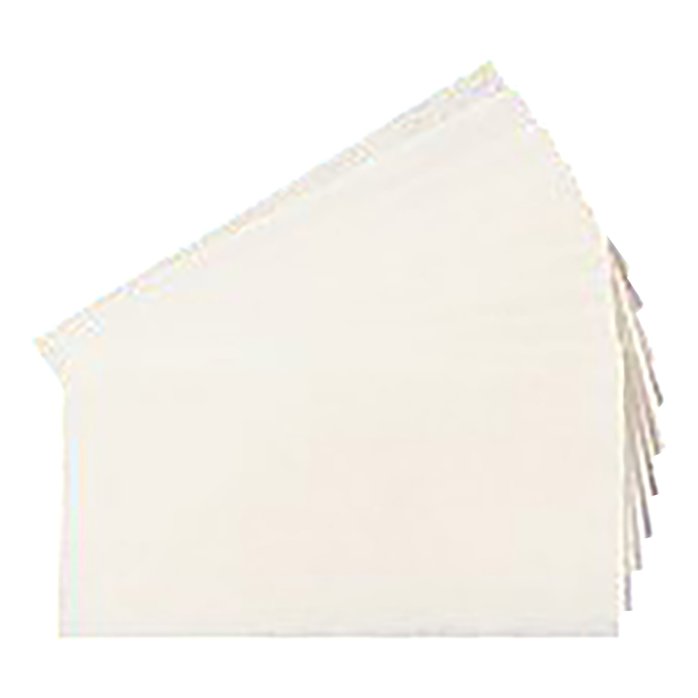 TCTグリーンモップ V-1用 スペア不織布 100枚入画像