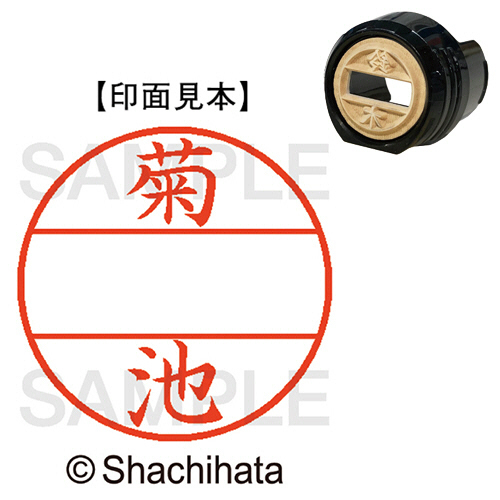 ﾃﾞｰﾀｰﾈｰﾑEX12号 ﾏｽﾀｰ部(印面) 既製 菊池 1個画像