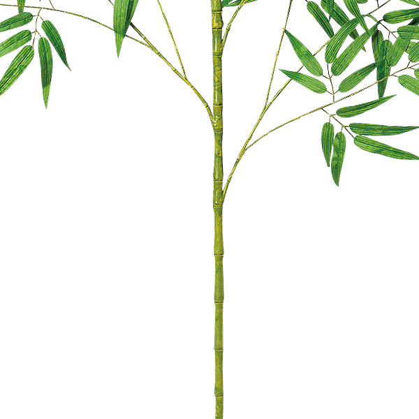 180cm七夕笹画像