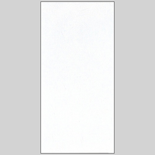 無地 万円袋 ﾜﾝﾀｯﾁ付 1ﾊﾟｯｸ(10枚)画像