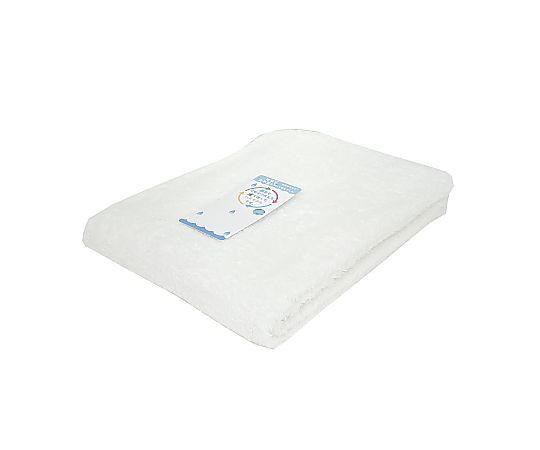 バスタオル テラカラー 60×120cm WHITE 1セット（10枚入）画像