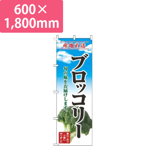 ブロッコリー青空明画像