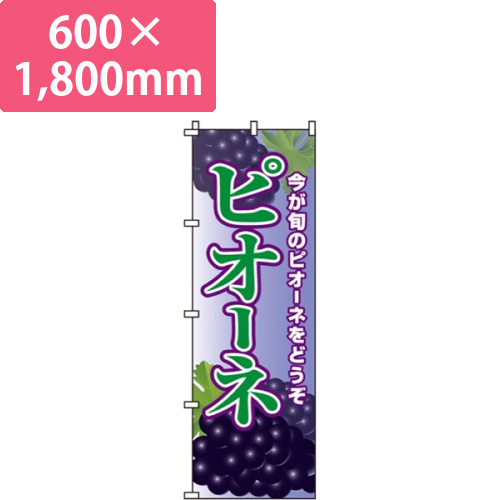 ピオーネ今が旬画像