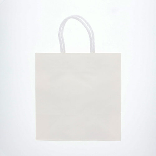 お菓子の持ち帰りやギフトに！マチが広めの手提げ紙袋（白）