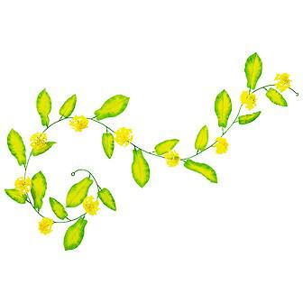 菜の花ローコストガーランド画像