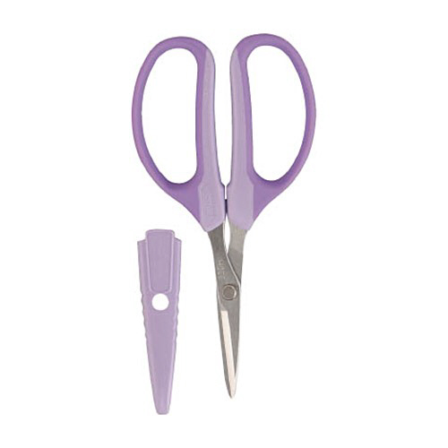 ｱﾙｽ ｸﾗﾌﾄﾁｮｷ(生花･ｱﾚﾝｼﾞﾒﾝﾄ用) 1個画像