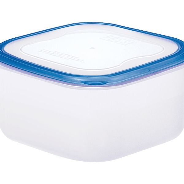 保存容器 パッセハード WS-4 CB リス