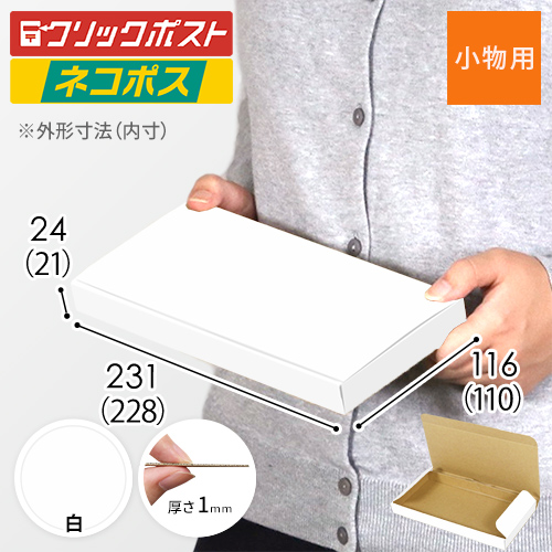 【ネコポス最小・定形外郵便】厚さ2.5cm・N式ケース（白）