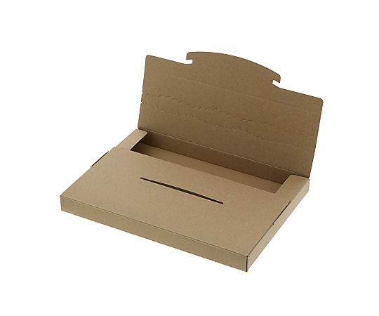 ダンボール　ラクポスBOX　265-25　10枚画像