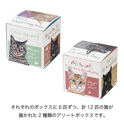 贈答箱 CHRA-GS1 チャリティーアニマルアソートギフトボックス-S/猫(20枚) ヘッズ カラフルなパッケージが整然と並ぶ様子