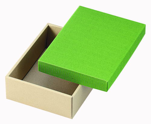 片段カラーギフトＢＯＸ　小（緑）画像