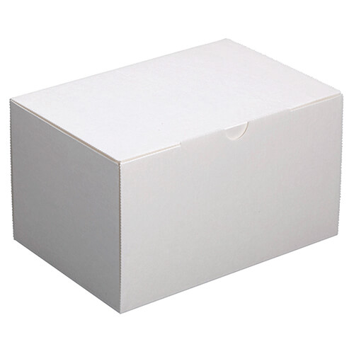 エコ洋生１０５＃８画像